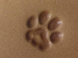 Lederstempel Katzenpfote 13 x 13 mm 