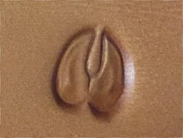 Lederstempel Hirsch- oder Ziegenspur 12 x 13 mm 