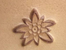 Lederstempel Edelweiss, Breite ca. 15 mm