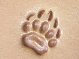 Lederstempel Vordere Bärtatze 14 x 15 mm