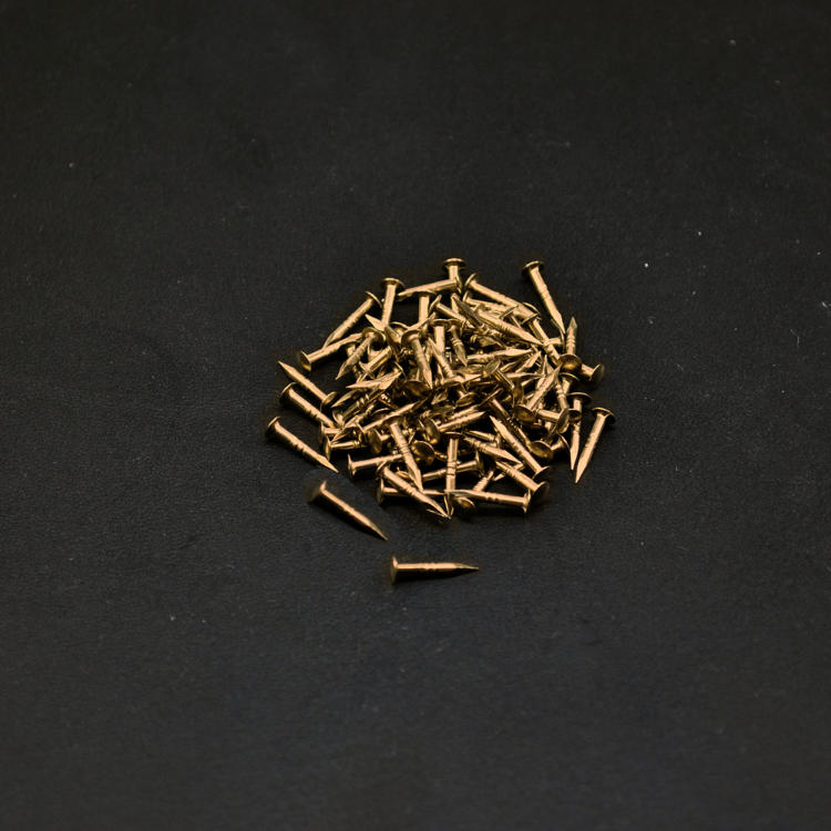 Messingstifte für Appenzeller Beschläge, 11 mm, Packung à 100 Stk. Messingstifte für Appenzeller Beschläge, 11 mm, Packung à 100 Stk.